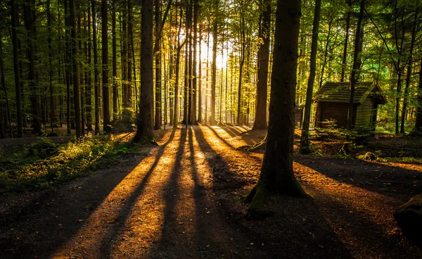 Fuerzas de la Naturaleza — Foto de Stock