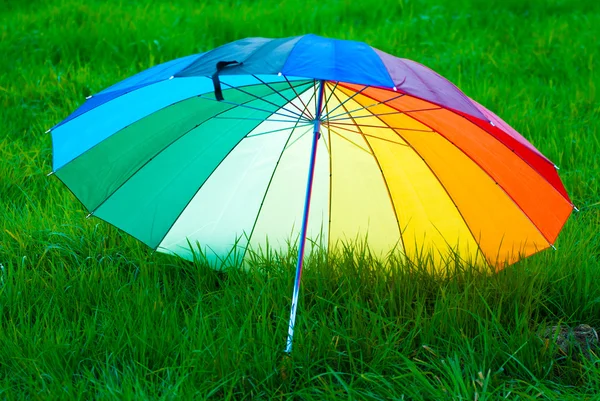 雨伞 — 图库照片