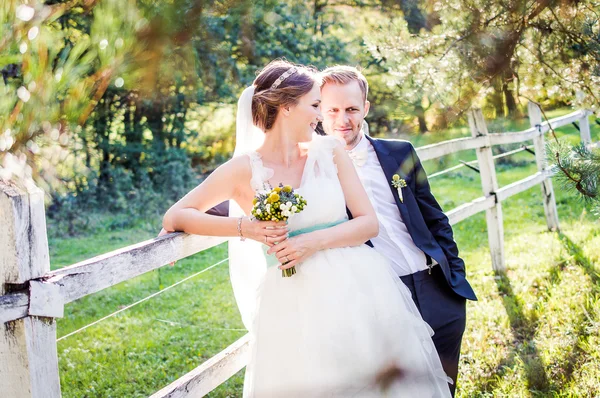 Jovem casal de casamento — Fotografia de Stock