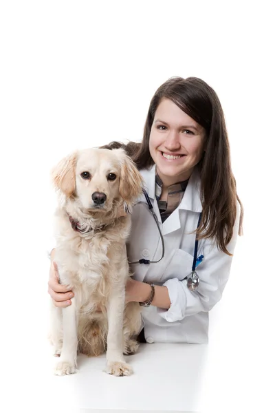 Jonge dierenarts — Stockfoto