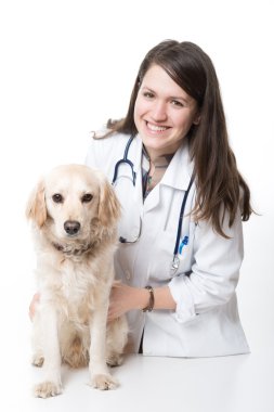 Genç veteriner kucaklayan güzel köpek