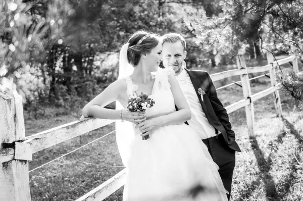 Bride and groom — Stock Photo, Image