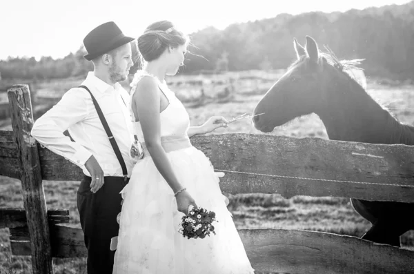 Nevěsta a ženich — Stock fotografie