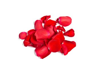 kırmızı gül yaprakları