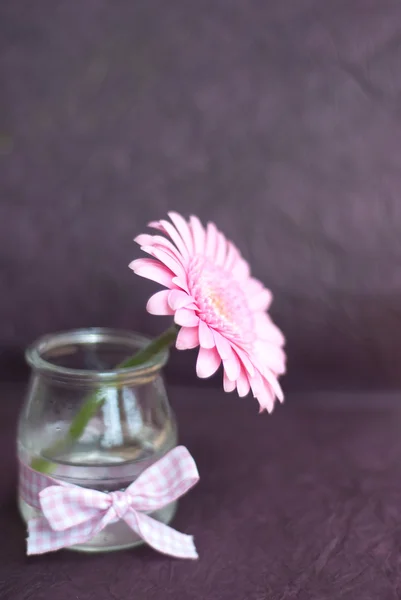 ピンクの花の花束 — ストック写真