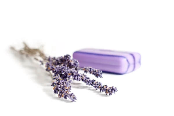 Lavendel blommor och tvål — Stockfoto