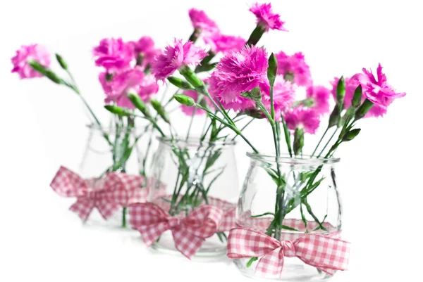 꽃병에 꽃 핑크 — 스톡 사진