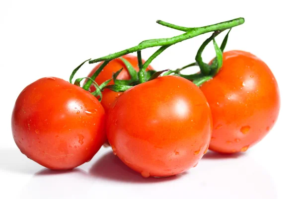 Red tomatoes isolated on white background — Stock Photo, Image