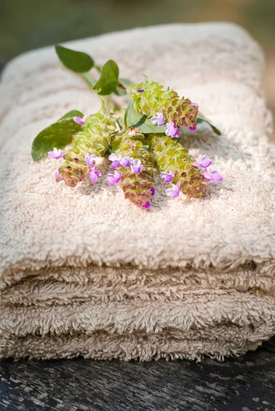 Toallas de spa marrón y flores —  Fotos de Stock