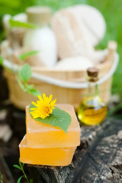 Natural Soap — Stock Photo, Image