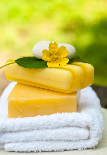 Natural Soap — Stock Photo, Image