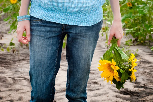 Sonnenblume — Stockfoto