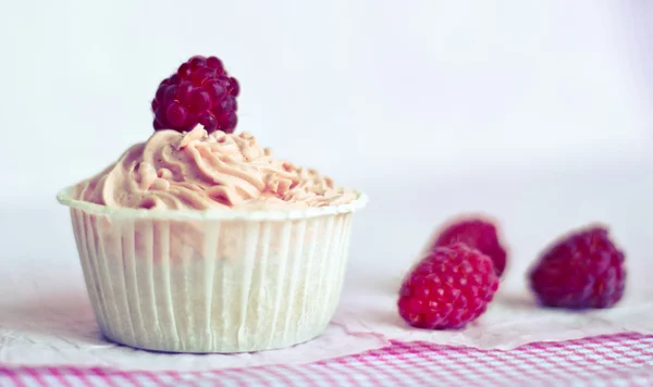 Creme e cupcakes de framboesa — Fotografia de Stock