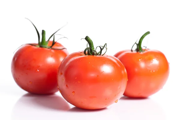 Rote Tomaten isoliert auf weißem Hintergrund — Stockfoto