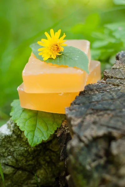 Natural Soap — Stock Photo, Image