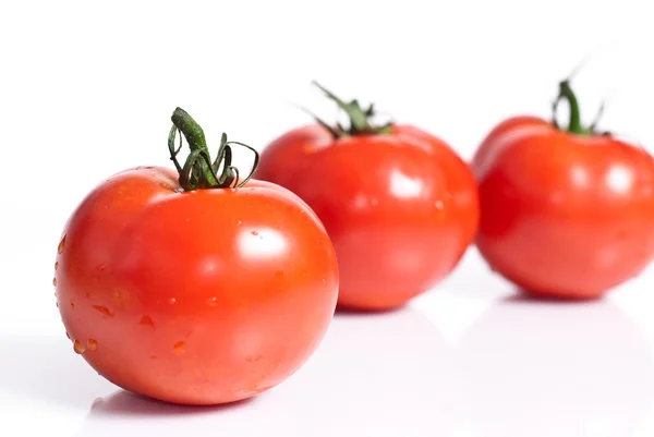 Red tomatoes isolated on white background — Stock Photo, Image