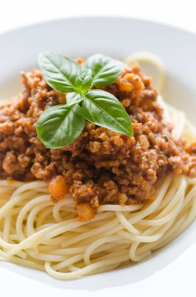 Spaghetti bolognese - Stock-foto