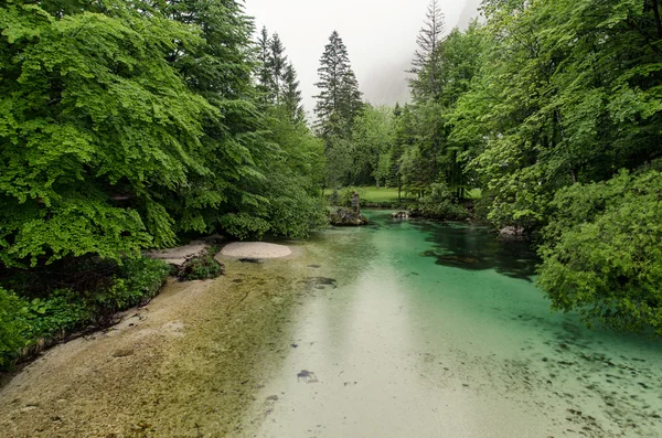 Beautiful view of mountain river in summer — Stock Photo, Image