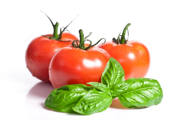 Red tomatoes with basil isolated on white background Stock Picture
