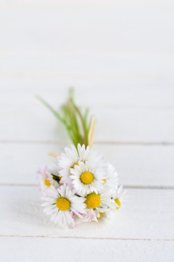 demet papatya beyaz ahşap zemin üzerinde