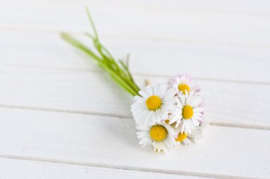 demet papatya beyaz ahşap zemin üzerinde