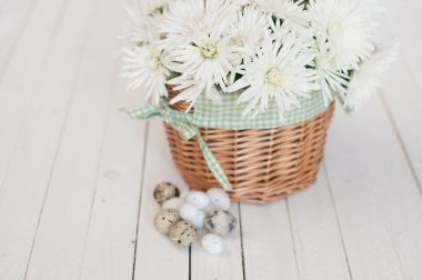 farklı türleri: Beyaz ahşap zemin üzerinde bir yuvadaki yumurta