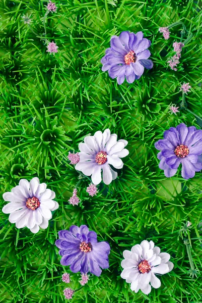Ljust och vackra färger av plast blommor. — Stockfoto