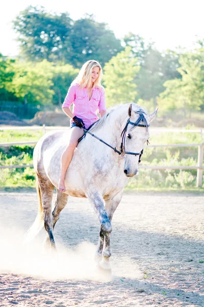 Passeios a cavalo — Fotografia de Stock