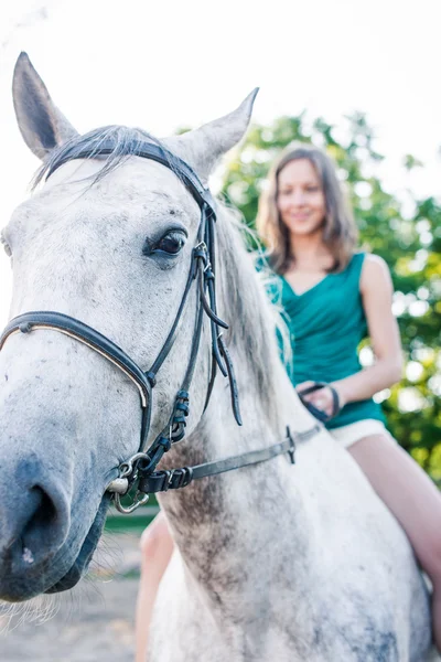 Équitation à cheval — Photo