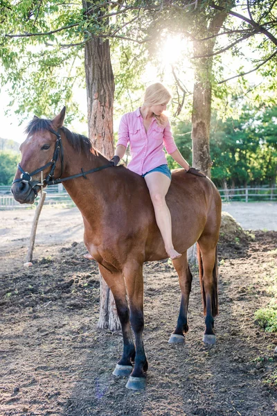 Passeios a cavalo — Fotografia de Stock