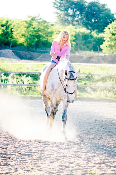 Passeios a cavalo — Fotografia de Stock