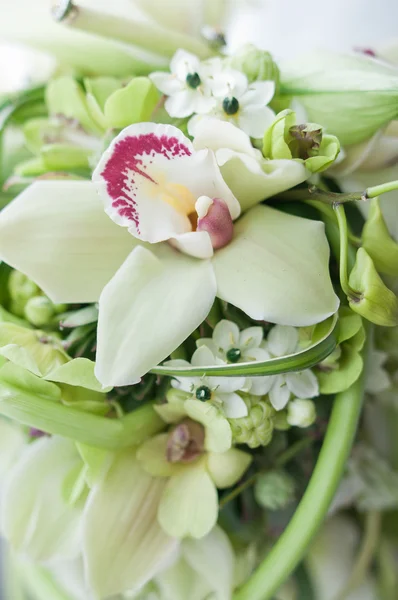 Wedding bouquet — Stock Photo, Image