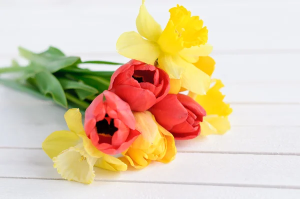 Tulipes et jonquilles sur fond blanc — Photo