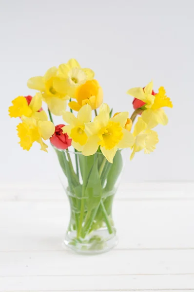 Tulipes et jonquilles dans un vase en verre sur fond blanc — Photo