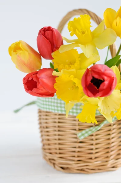 Tulipes et jonquilles dans le panier sur fond blanc — Photo