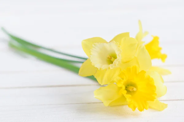 Kytice žlutých zapůjčené Lily (Narcis) na bílém pozadí — Stock fotografie