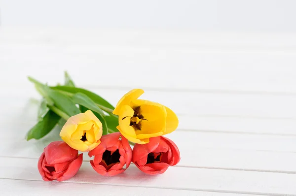 Fleurs de tulipes jaunes et rouges sur fond de bois blanc — Photo