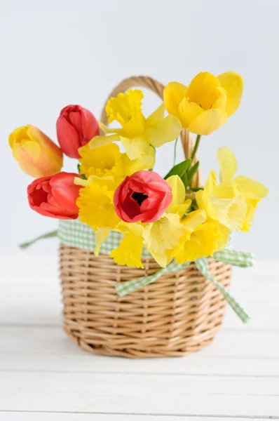 Tulpaner och påskliljor i korg på vit bakgrund — Stockfoto