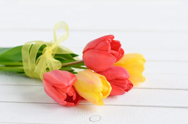 Yellow and red tulip flowers on white wooden background — Stock Photo, Image