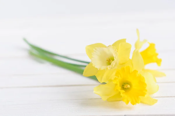 Kytice žlutých zapůjčené Lily (Narcis) na bílém pozadí — Stock fotografie