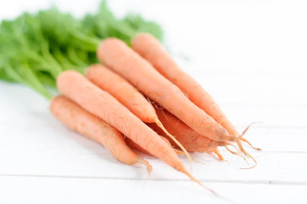 Bunch orange carrots with green leaves isolated over white — Stock Photo, Image