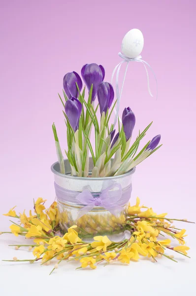 Belles fleurs de crocus de printemps (composition de Pâques ) — Photo