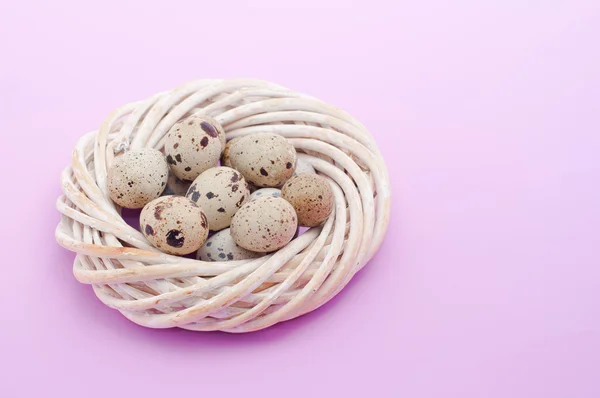 Quail eggs in the nest — Stock Photo, Image