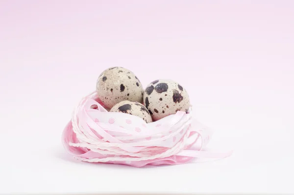 Перепелиные яйца в гнезде — стоковое фото