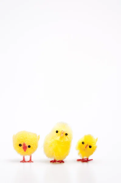 Easter chicks geïsoleerd op wit — Stockfoto