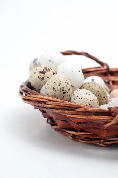 Diversi tipi di uova — Foto Stock