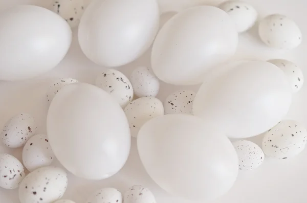Diversi tipi di uova — Foto Stock