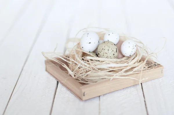 Různé druhy vajec v hnízdě na bílém pozadí, dřevěné — Stock fotografie