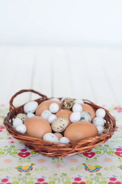 Farklı türleri: yumurta — Stok fotoğraf