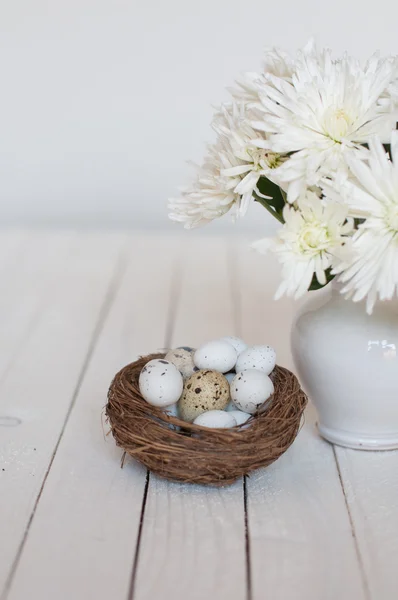 Olika typer av ägg i ett bo på en vit trä bakgrund — Stockfoto